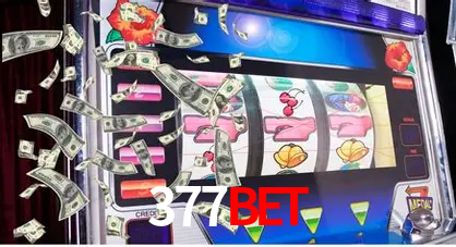Flash Promotion 377Bet