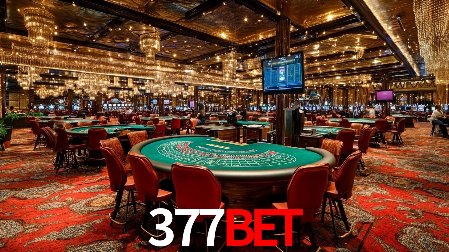 377Bet App